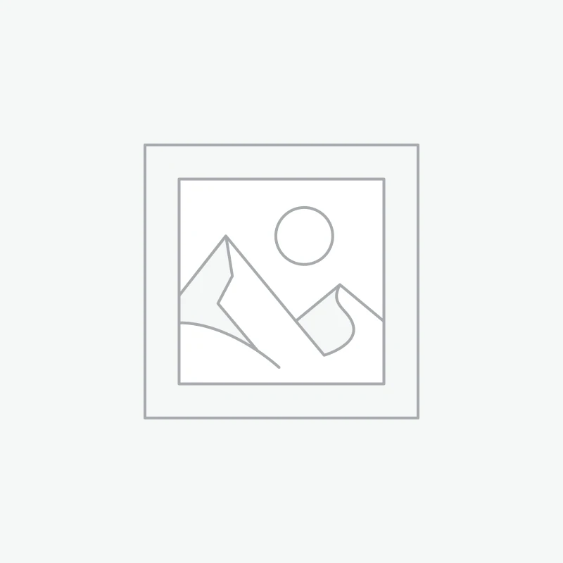 TVS King Switch Assembly Dashboard Genuine TVS Part G5160010 1 Awaiting product image
