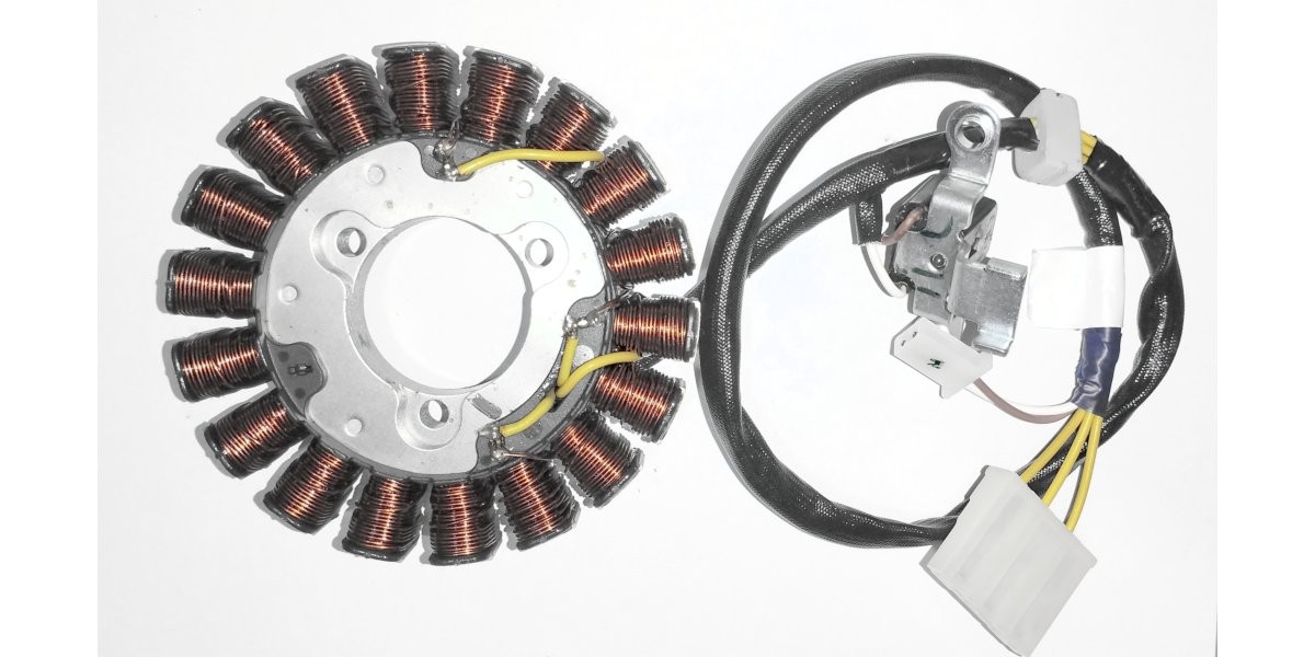 Assembly Modified TVS King Stator Assembly Modified Genuine TVS Part G4324100 | ₱4,505