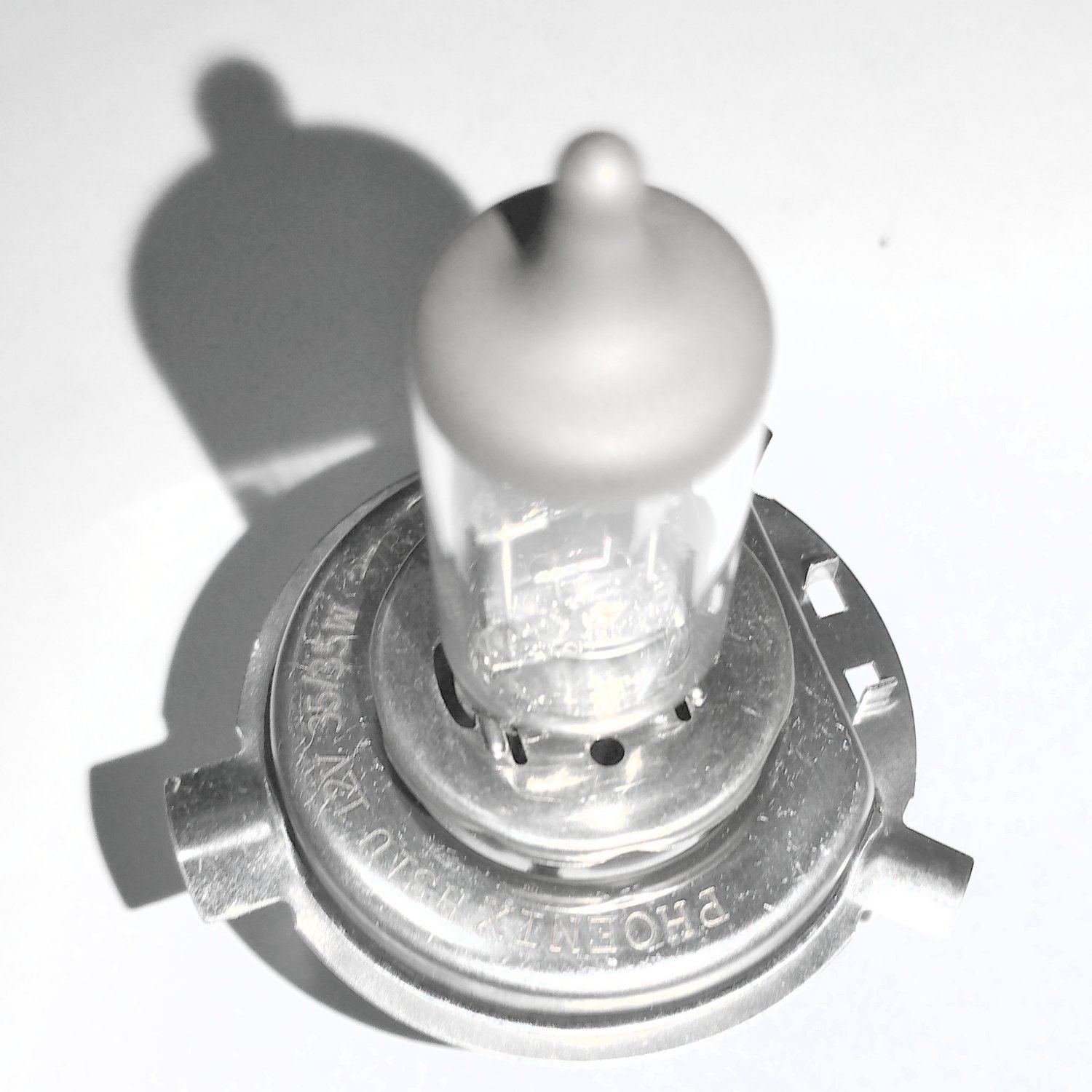 Tvs xl clearance headlight bulb price